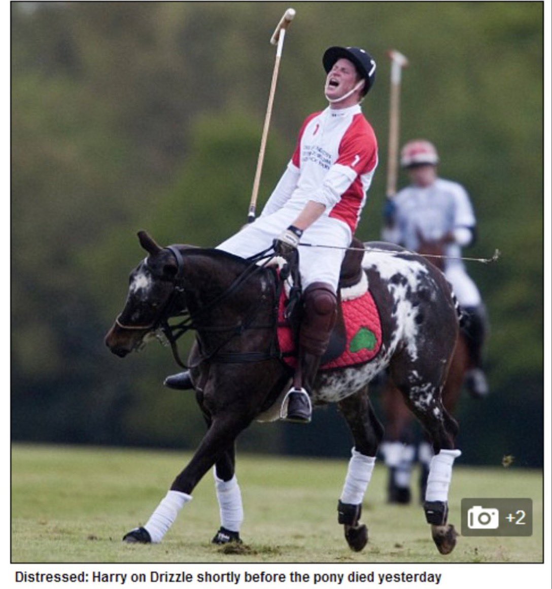 @TandCmag #PrinceHarry killed a PREGNANT polo pony He was TOLD not to ride her but he did it anyway. She had a heart attack and died after he finally got off her.
