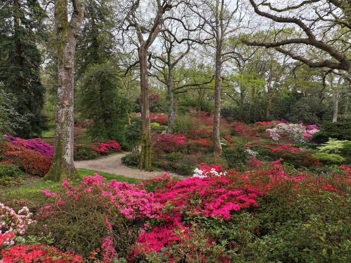 Marie-Louise Agius tweet media