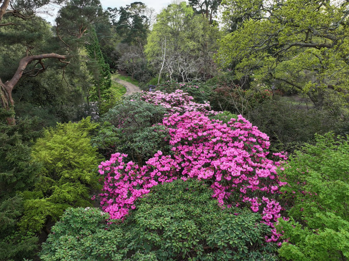 Marie-Louise Agius tweet media