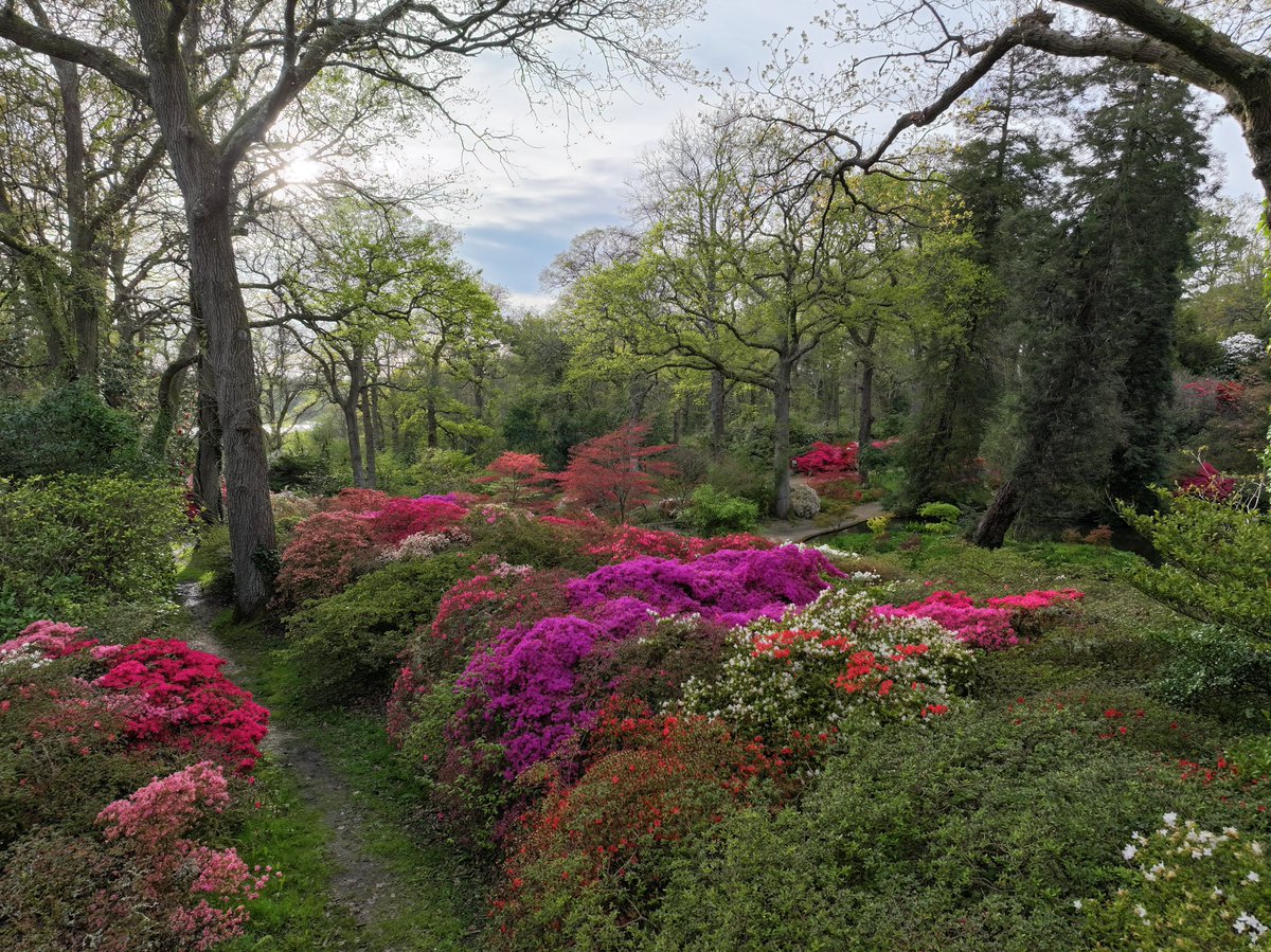 Marie-Louise Agius tweet media