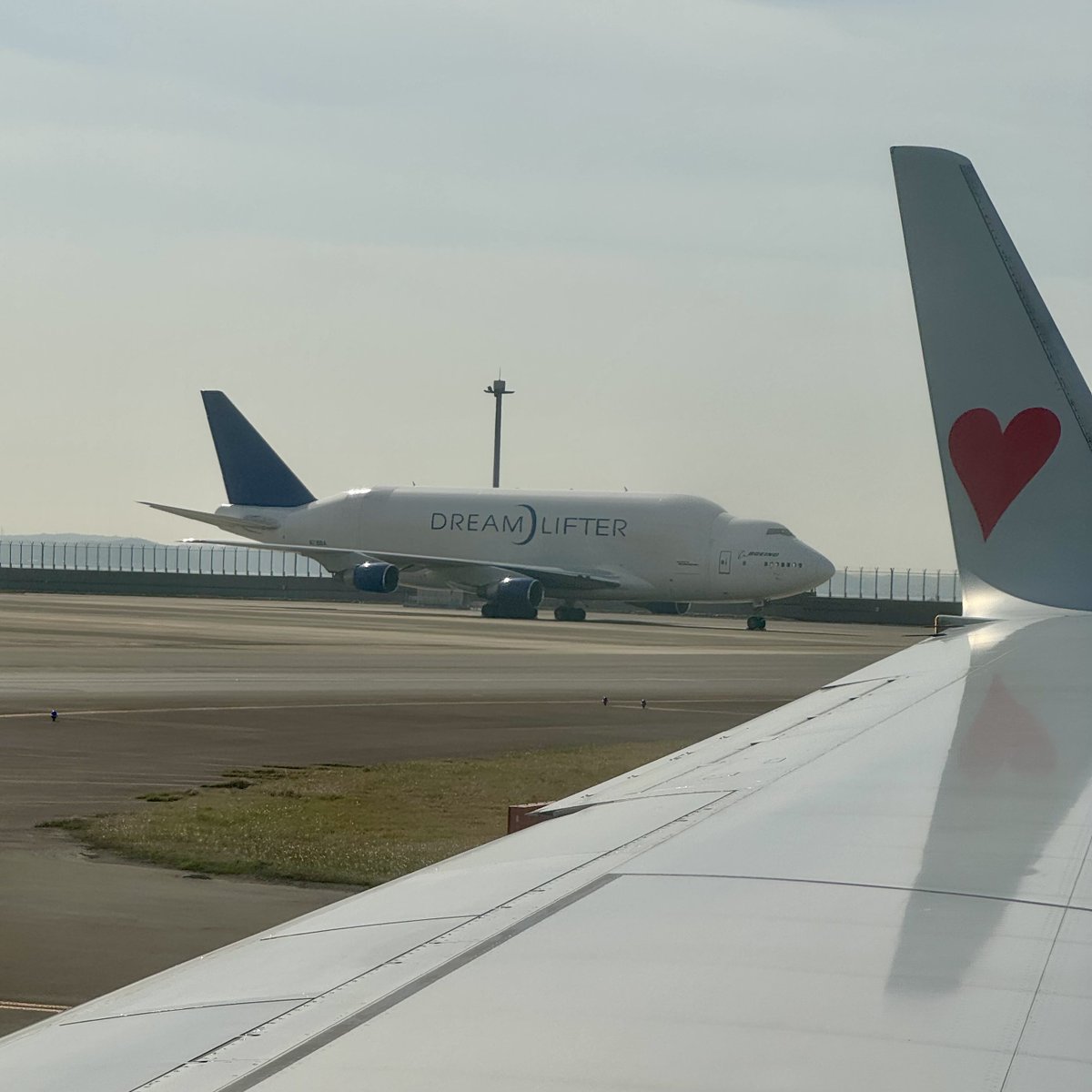 セントレアにでっかいの停まってた✈️