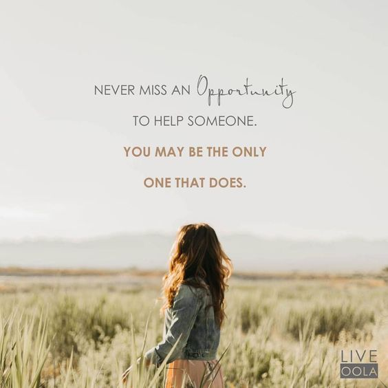 cdroses's tweet image. #liveOola