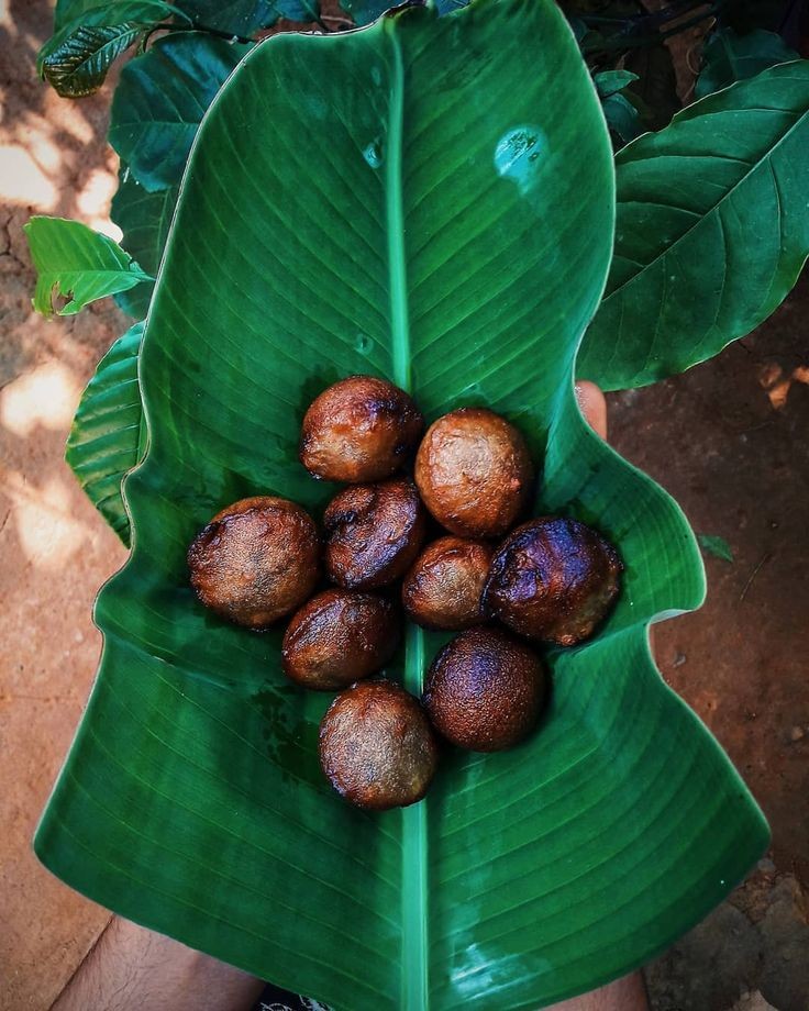 Which is the most underrated sweet dish in your native place?
#TwitterGame