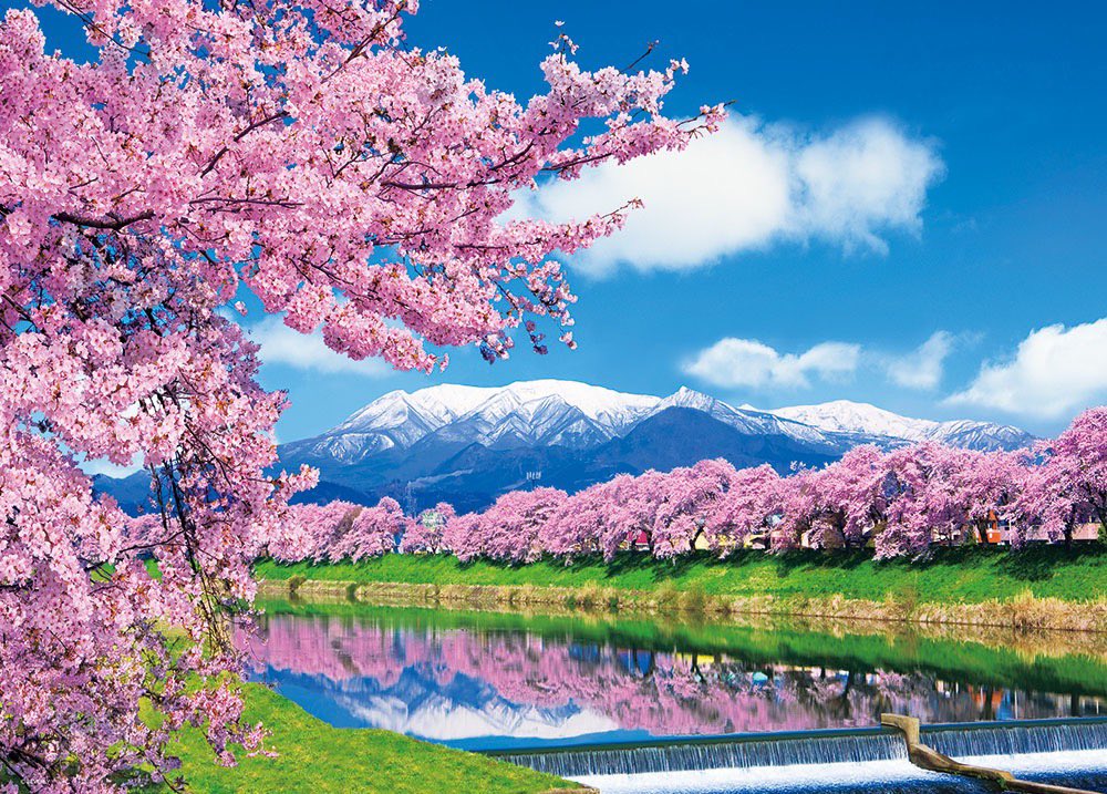 青い空。白い雲。桃色の桜。
この美しいものを守る。それこそが保守。
今の政治で良い訳無い。政治を変え日本を守る。
その為に立ち上がった日本保守党。
代表始め執行部の方々には感謝しかない。
真剣に応援できる政党が出来たのだから。
江東区。精一杯応援します。
#飯山あかり
#日本保守党