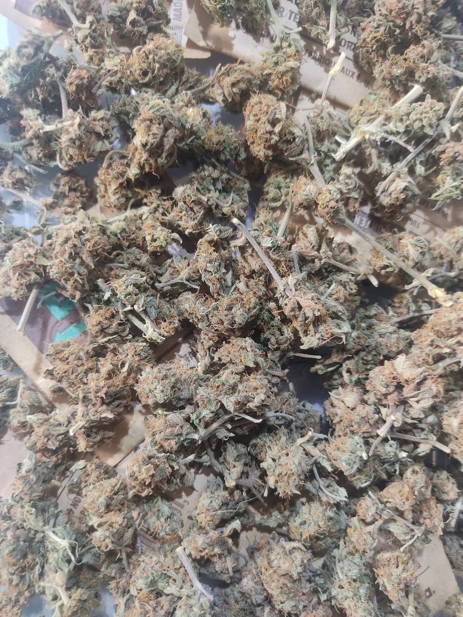 viewkim's tweet image. ครึ่งขีด 2000 grab lineman ทั่วกทม ems ส่งได้ ทั่วไทยครับ line viewson5x
#กัญชา #กัญชากทม #สงกรานต์2567 #กัญชาราคาถูก #Iran #RANGNAMSONGKRAN2024 #ขวัญฤทัย #LISA #โฟอีฟมาหามหานครสงกรานต์