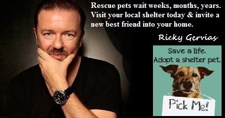 An important message from @RickyGervais. “Rescue pets wait weeks, months, even years. So please visit your local animal shelter this weekend. You may just find your new best friend.” #AdoptDontShop #FureverHome