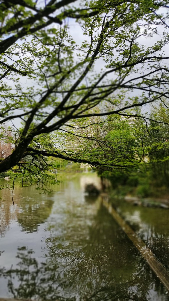 DROUZIN's tweet photo. Il a fait si beau ce vendredi à Paris..une balade au super parc Montsouris.
📸Perso
#balade https://t.co/pfCkiInKVJ
