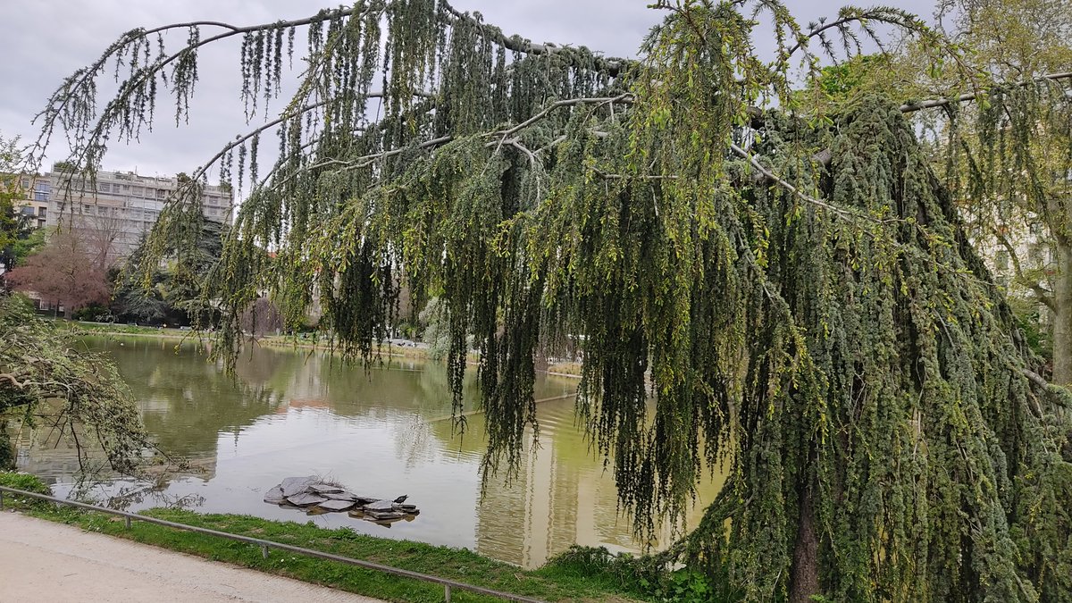 DROUZIN's tweet photo. Il a fait si beau ce vendredi à Paris..une balade au super parc Montsouris.
📸Perso
#balade https://t.co/pfCkiInKVJ