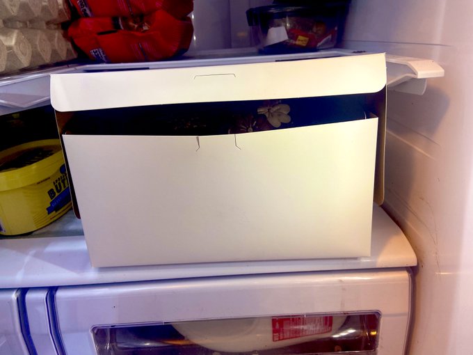 Ed put a mysterious white box in the fridge tonight before he went to bed.      My curiosity is killing<a href="/tag/bareback"class="tags"><span>#bareback</span></a><a href="/tag/poz"class="tags"><span>#poz</span></a><a href="/tag/pozfetish"class="tags"><span>#pozfetish</span></a><a href="/tag/pozverbal"class="tags"><span>#pozverbal</span></a><a href="/tag/neg2poz"class="tags"><span>#neg2poz</span></a>
