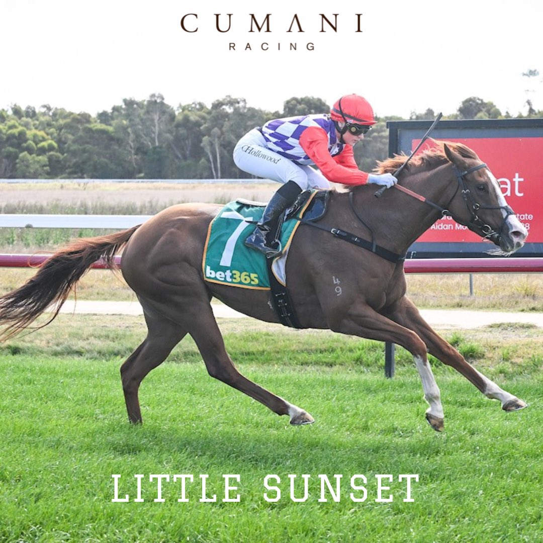 Little Sunset 🌅 (Russian Revolution x Orion Love) Too strong for them and takes out her maiden at Ararat 🥇 Purchased from @inglis_sales @lustrelodge Great to get the win for her owners🐎 Lovely ride by Caitlin Hollowood 👌