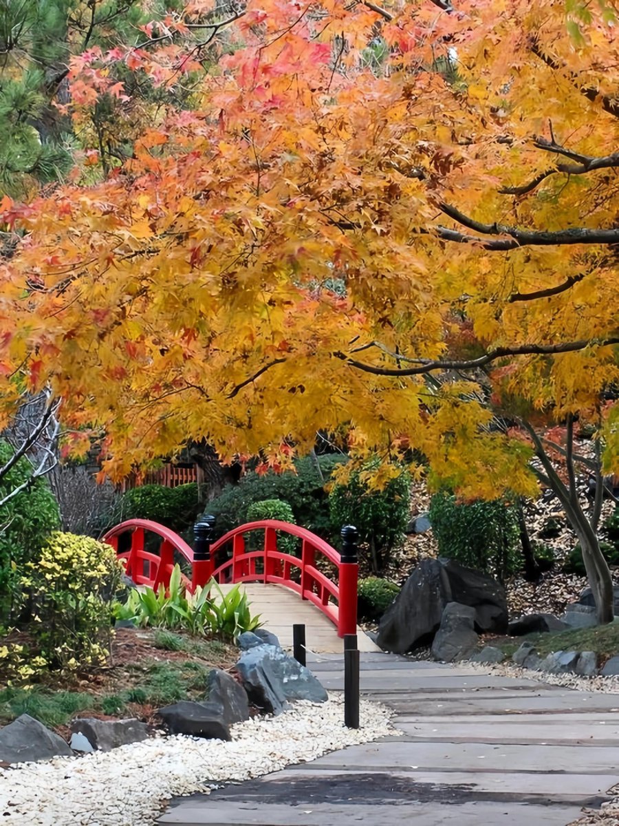The gift of nature, autumn romance.
#Fall
#Views