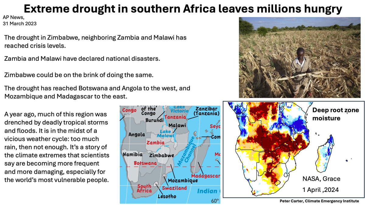 DROUGHT SOUTHERN AFRICA MILLIONS HUNGRY National emergency extreme drought Zimbabwe Zambia Malawi Reached Botswana Angola to west Mozambique and Madagascar to east. Climate change will cut Africa crops the most AP News, 31 March 2023 #drought #climatechange #globalwarming.