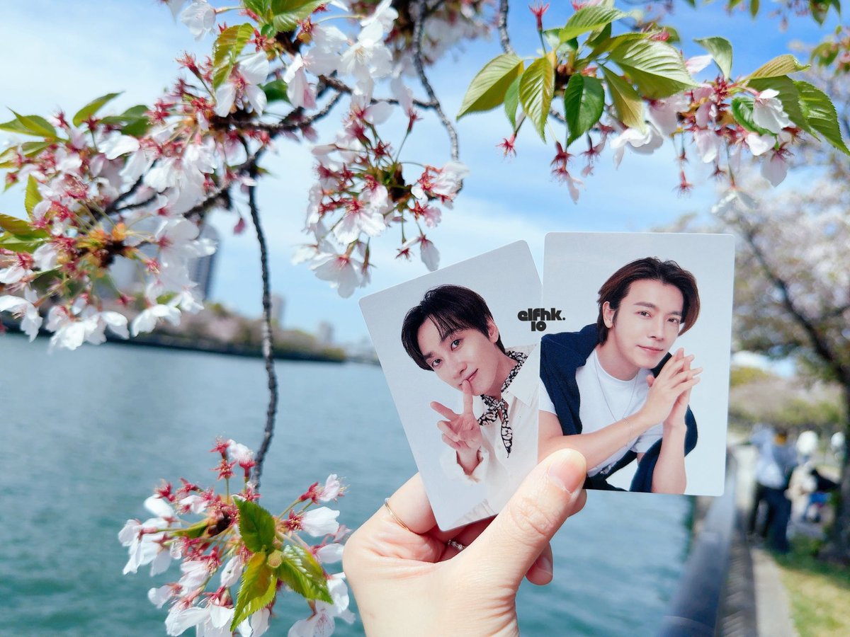 D&E with Sakura🌸
@donghae861015 @AllRiseSilver 

#SUPERJUNIOR #SuperJuniorDnE 
#슈퍼주니어 #DEParture_Osaka
#DONGHAE #leedonghae
#EUNHYUK #leehyukjae #EUNHAE 
#동해 #이동해 #은혁 #혁재 #이혁재 #은해