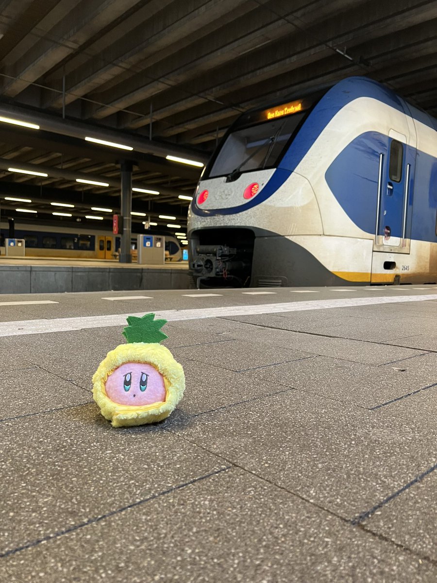 悲しいパイナップル🍍🇳🇱🚆