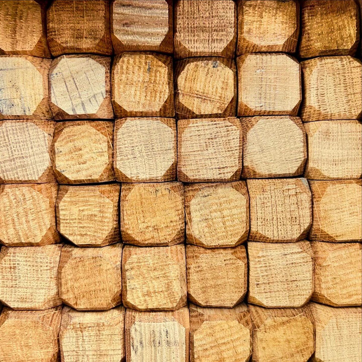iamkristinesr's tweet image. Experimental parchment making in Cambridge, pt. 1 🐑 

Featuring a beautiful frame from Jack Wheeler (even the pegs are an artwork), parchmenter know-how from @UCamArchaeology and effortless calligraphy from young participants @CamUnivMuseums 🪶 

#CULconservation #Parchment