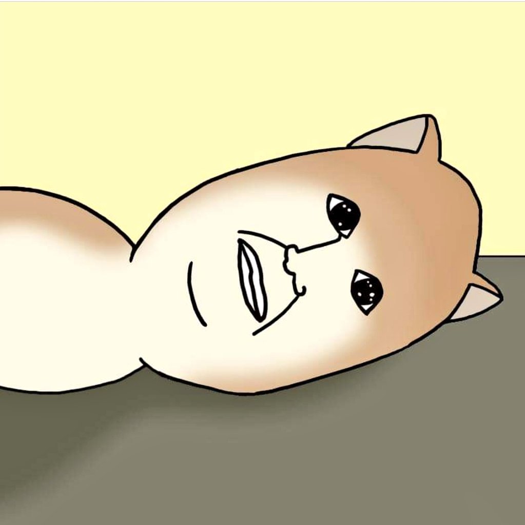 JurumySol's tweet photo. Doge $jurumy https://t.co/EUdGwLL5Bw