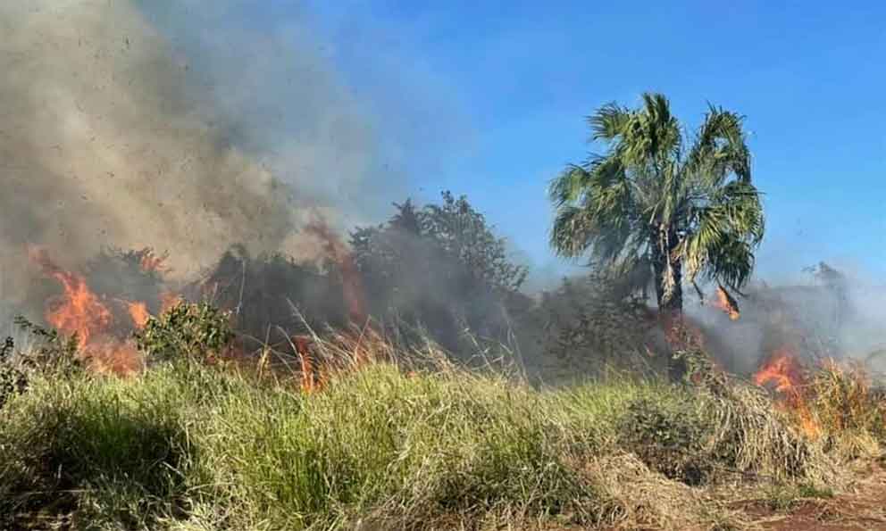 Suman esfuerzos para combatir incendios en los municipios de Ciudad del Maíz y El Naranjo, por lo que se acordó utilizar aeronaves a esa región para trasladar a brigadistas. Ver nota: tinyurl.com/bdfpjjff #SLP