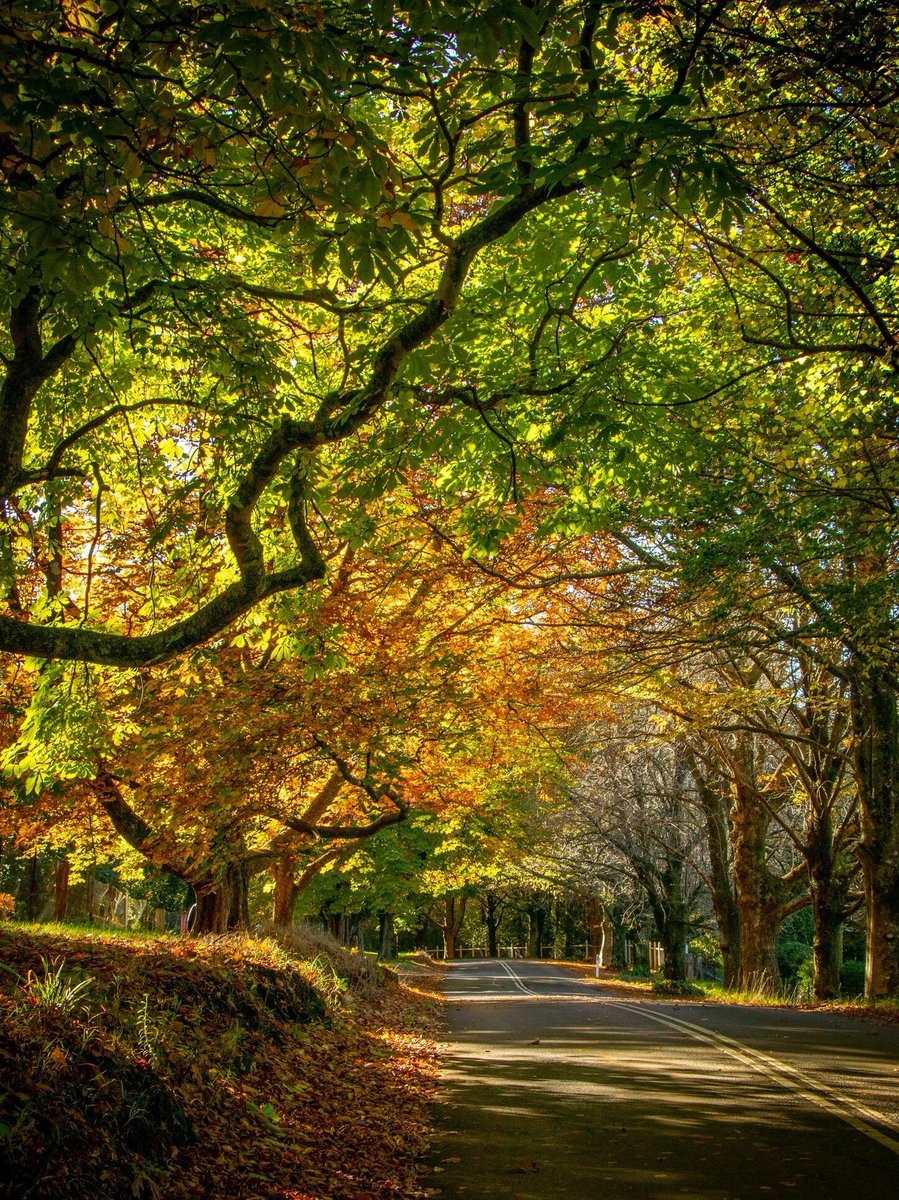 tmvftx42892's tweet photo. With a pocket full of happiness.
#Autumn
#Nature https://t.co/SvL13rwn6k