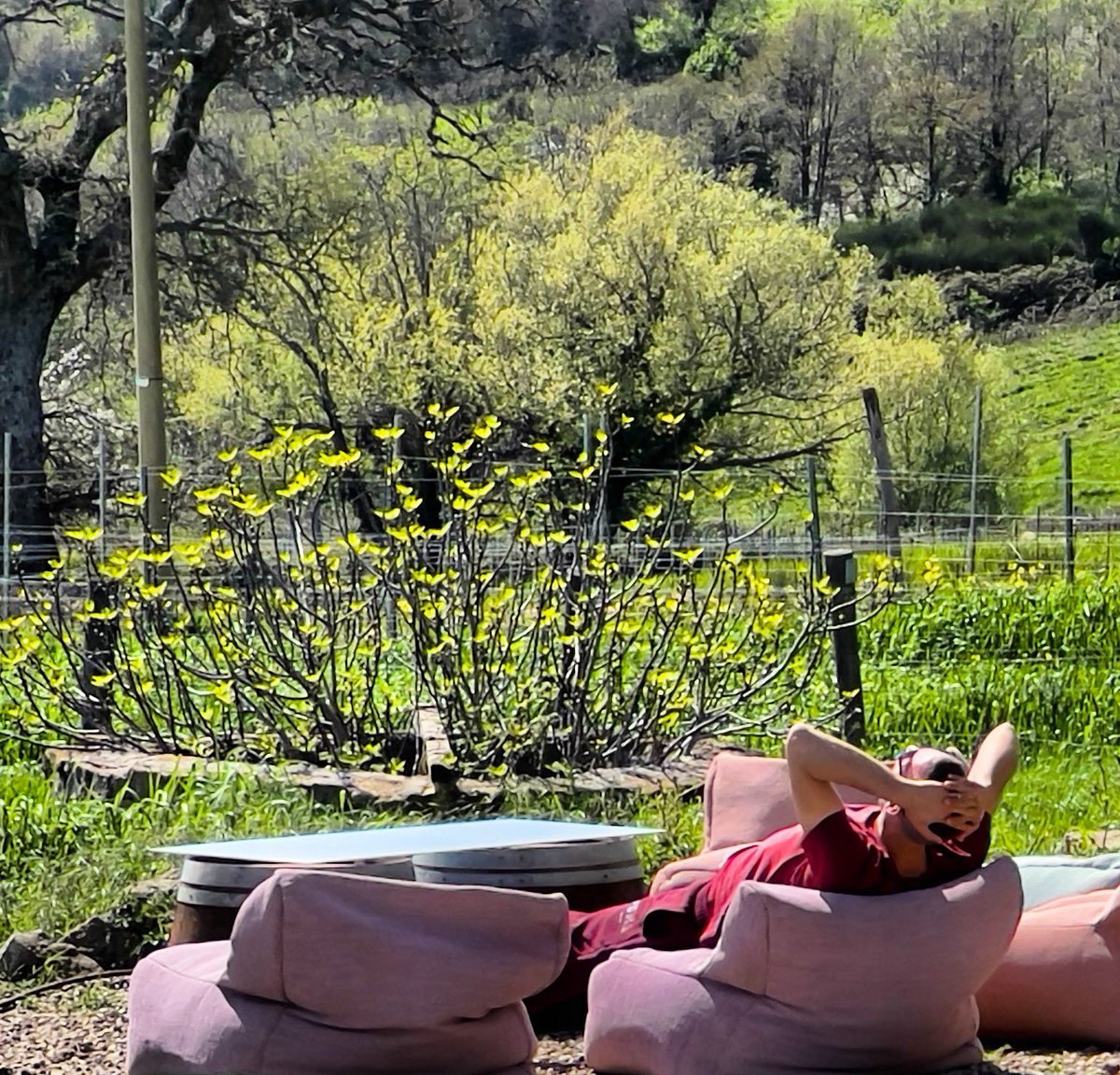 CHILL-TIME #breathtakingviews #valdonica #valdonicarestaurant #maremma #naturalwines #naturalwinelover #vinummagazin  #winetour #organicwine #organicwinery #vermentino #sangiovese #wineenthusiast #winetravel #robertparker #docmaremmatoscana #thestoryofmywine #sassofortino