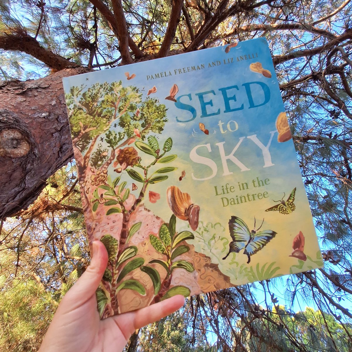 onemorepageAU's tweet photo. Seed to Sky: Life in the Daintree is another beautiful addition to @pamelafreeman &amp; @lizillustrator's series of nature books. Soak in all the glorious detail as you follow a tiny seed as as it grows to be one of the tallest trees in the Daintree. https://t.co/VhiFk91sJk