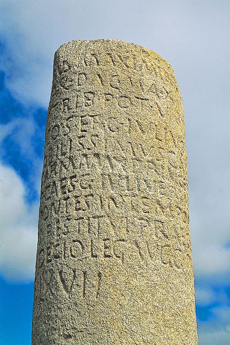 Ollar na Limia tweet media