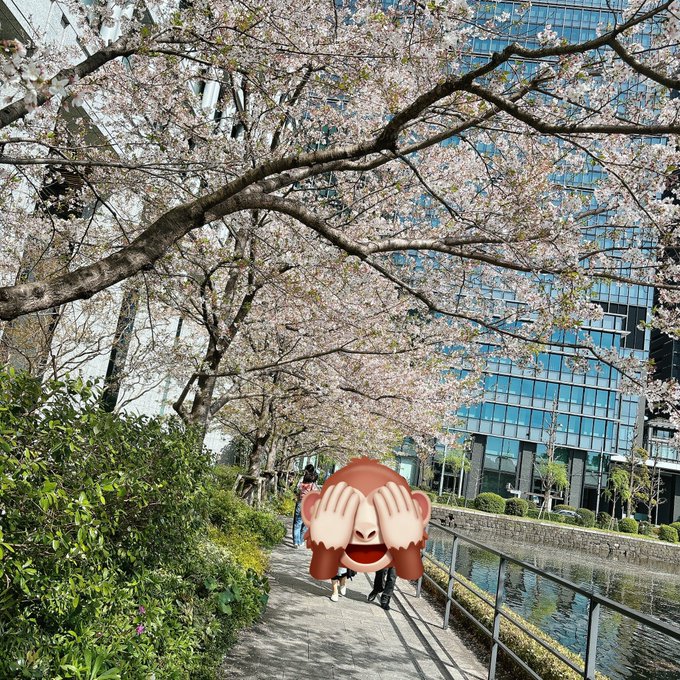 「桜 GoogleMapの旅」のTwitter画像/イラスト(新着)