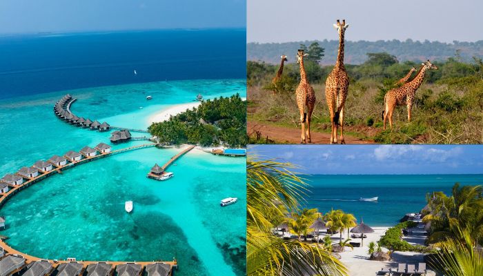 BusinessDayNg's tweet photo. 3 countries offering visa-on arrival to Nigerians perfect for summer vacation

#visas #summervacation #weekender #businessdayweekender #businessday

https://t.co/afl58lhCvL https://t.co/NauvGrwVBw