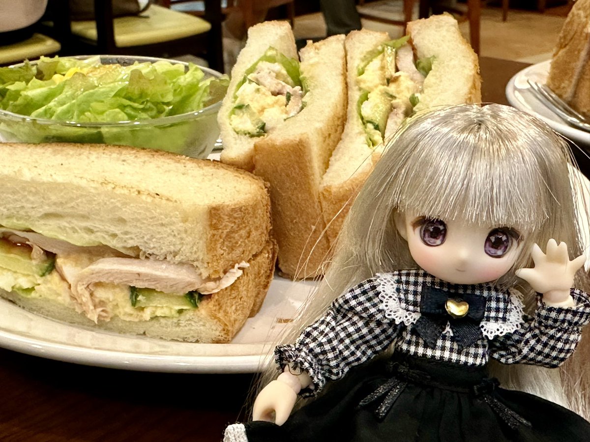 珈琲館で休憩☕️ #シュガカツ #アゾン #うちの子かわいい