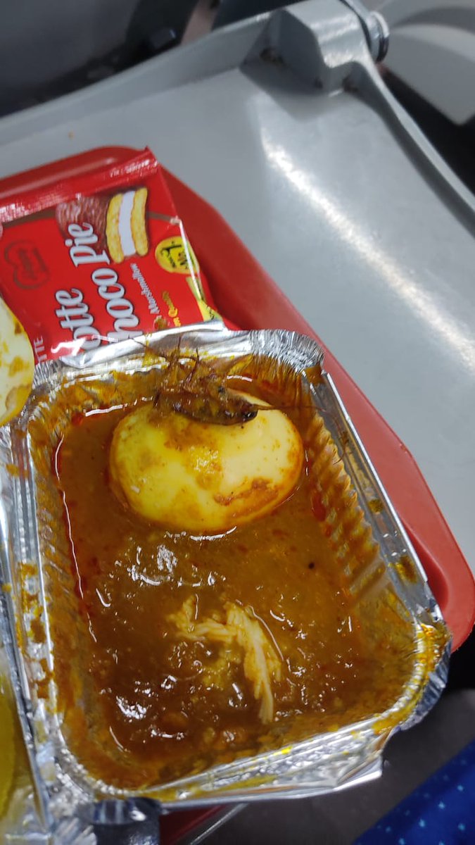 cluelesslax's tweet image. My uncle just traveled from Ernakulam to Kozhikode in the famous #Vandebharat #train #20634 and he found a cockroach in his meal. Ewww! What kinda service is this? @IRCTCofficial @RailMadad @RailMinIndia @Railwatch