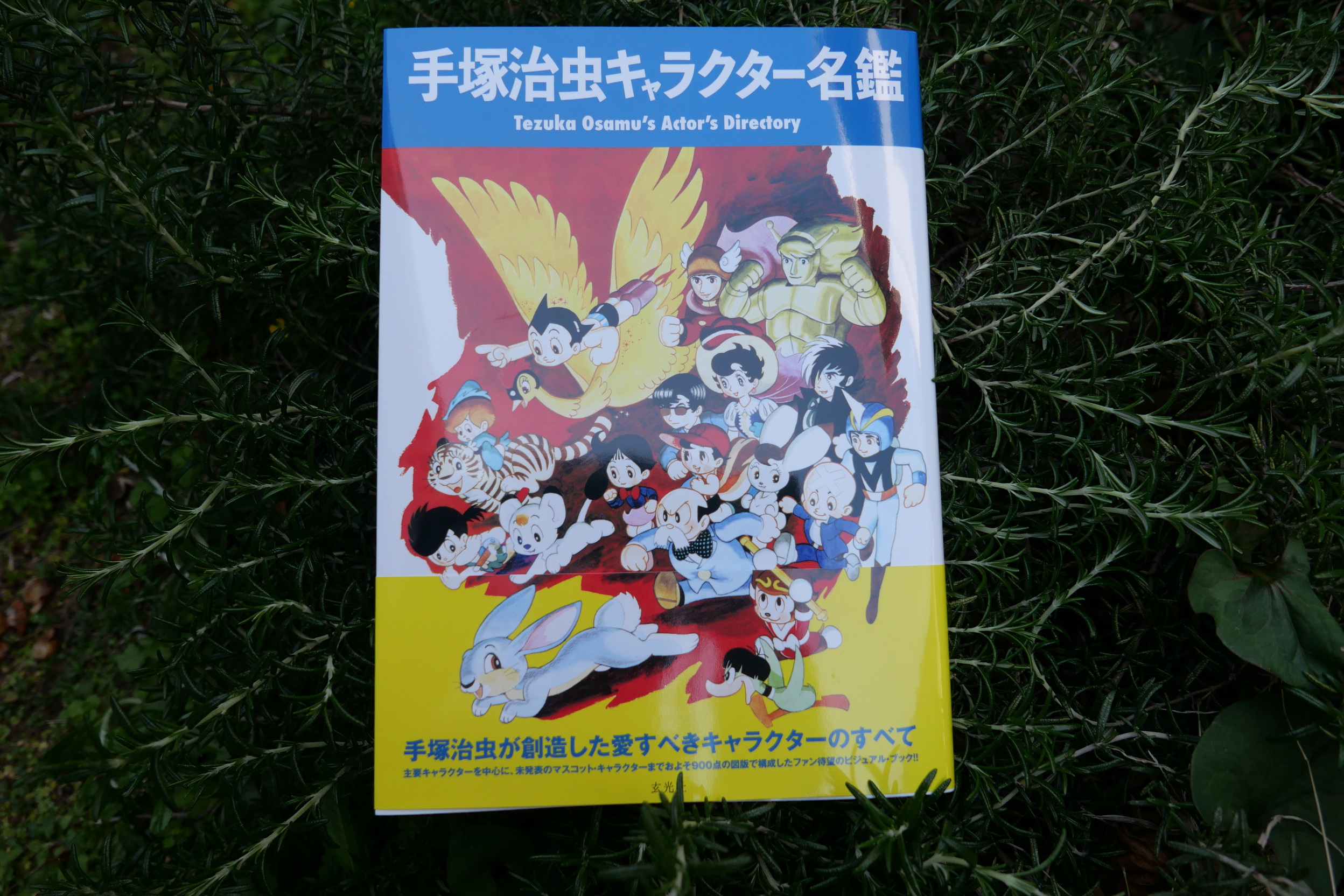 シネフィルDVD على X: 