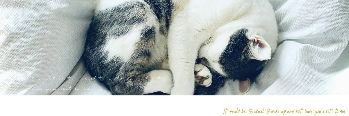 3_10_23_'s tweet photo. #フリーヘッダー ①「君の声で目覚め、君の声で眠る毎日が好きだ。」②「私は貴方からのどんな愛も受け入れるよ。」③「目覚めたとき、隣に君がいないなんてあまりにも残酷だ。」 https://t.co/X9nEX1AhwY