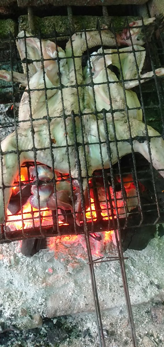 NiaBima4's tweet photo. Kalau sudah dipanggang enaknya diapain,,,🤭 https://t.co/hQxE1BUGHe
