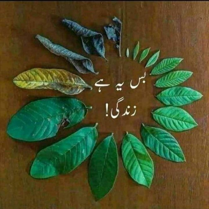 Luqman Khan (@luqmanutmani) on Twitter photo 