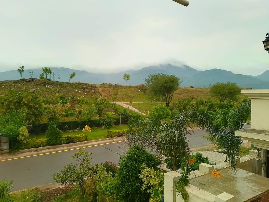 After the rain beauty of #Islamabad 🌳 ☔ 🌧️