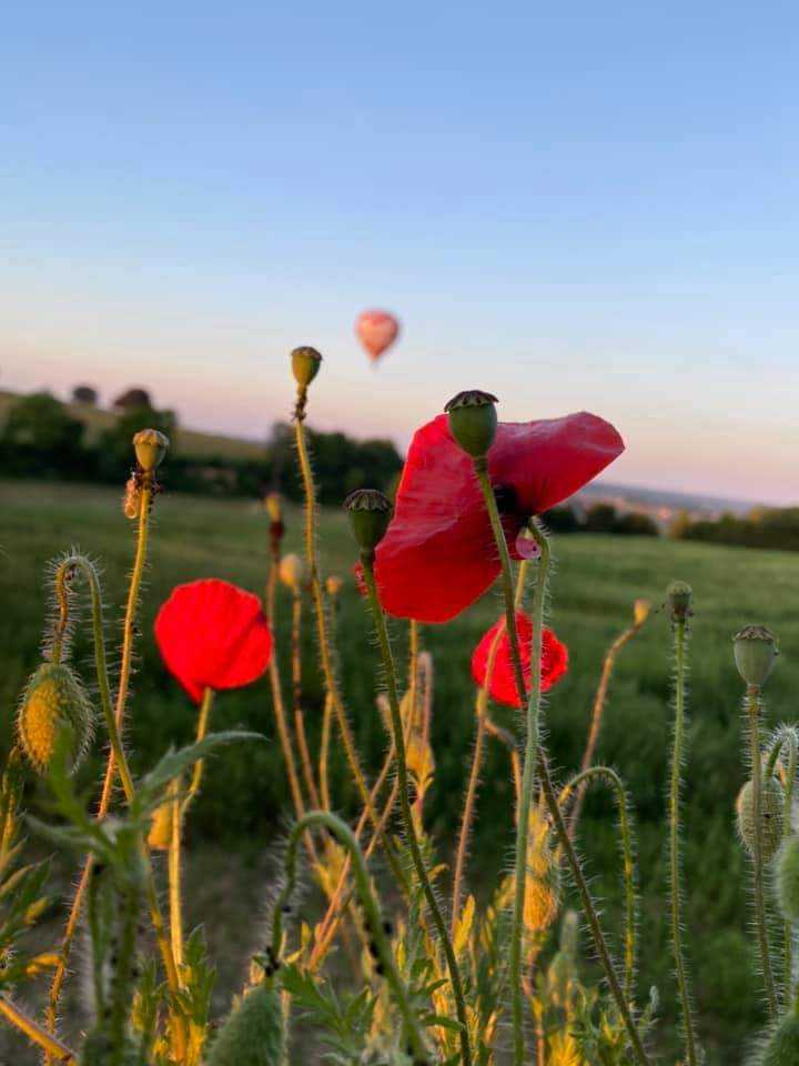 Ce matin le bruit du brûleur d’une montgolfière raisonnait dans le ciel de Saint-Émilion 🎈🍇🎈