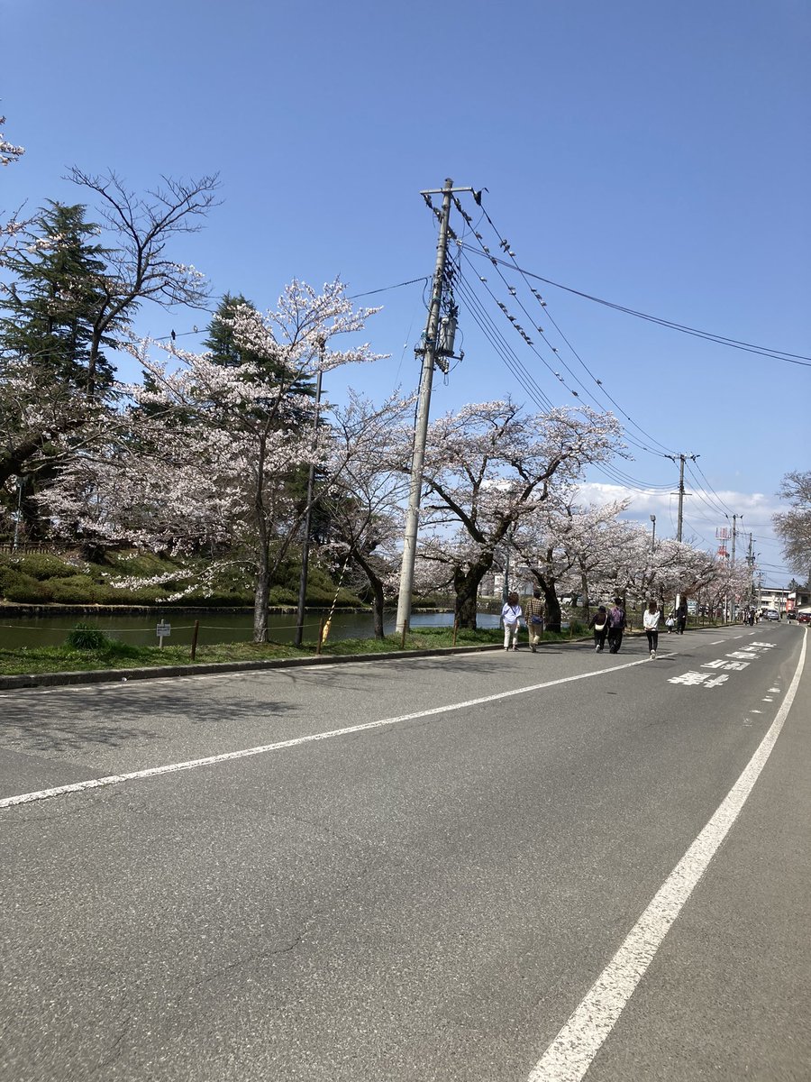 さくら満開！！

#桜
#上杉神社
#米沢