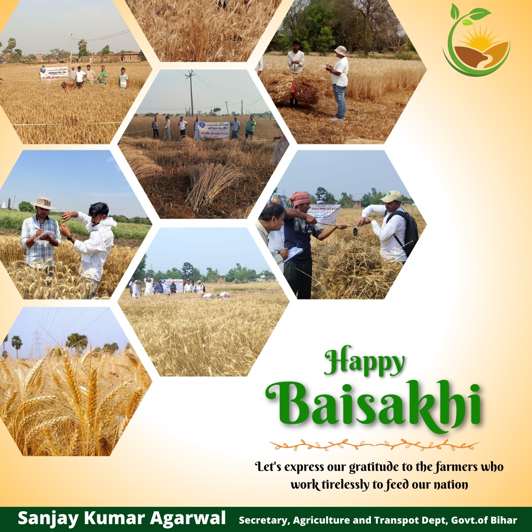 #Baisakhi marks the beginning of a new agricultural cycle, symbolizing hope, renewal, and abundance. Let's extend our heartfelt appreciation to the hardworking farmers who tirelessly nourish our nation. Wishing everyone a bountiful and joyous harvest season. Happy Baisakhi! 🌾