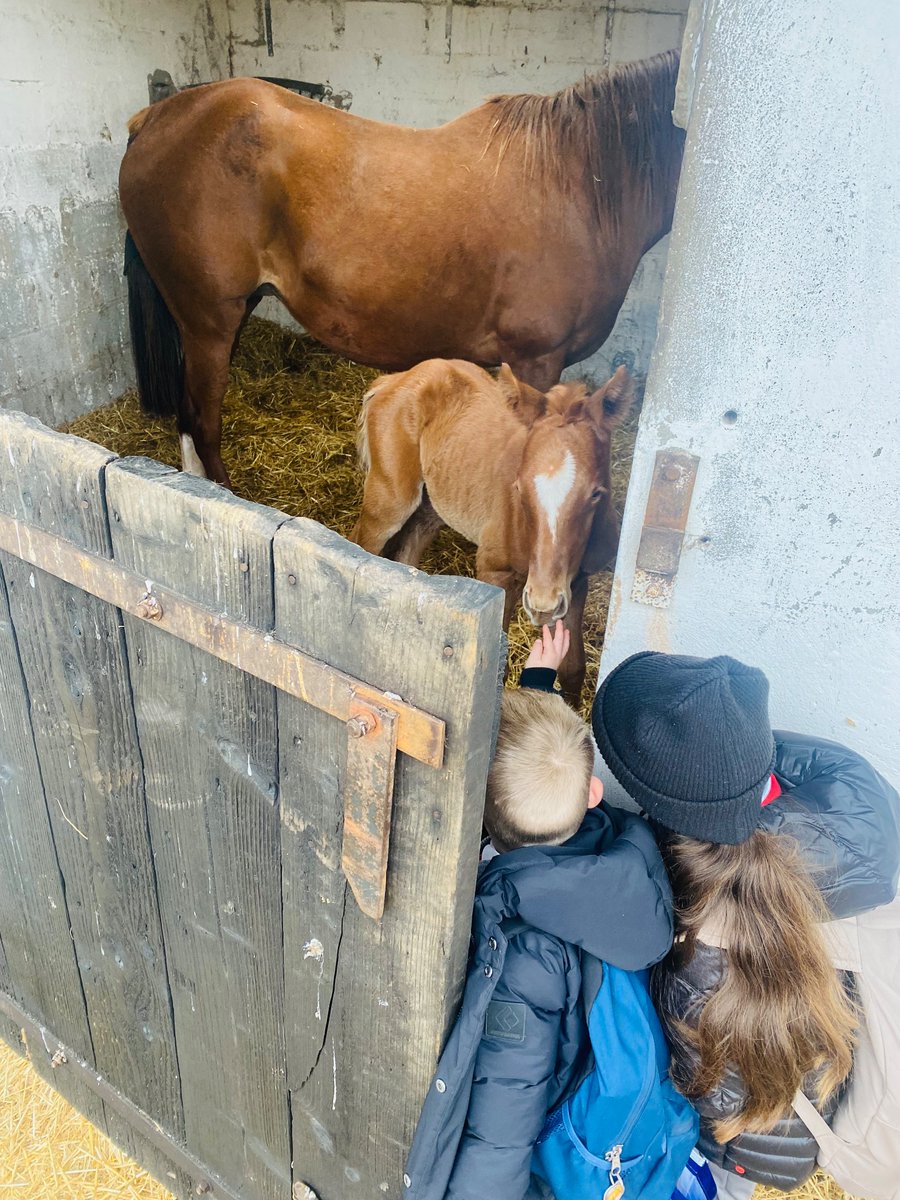 Our newest arrival 🐴🥰
@_Davy_Russel_ #whitebarnfarm #FoalFriday #GrandNational