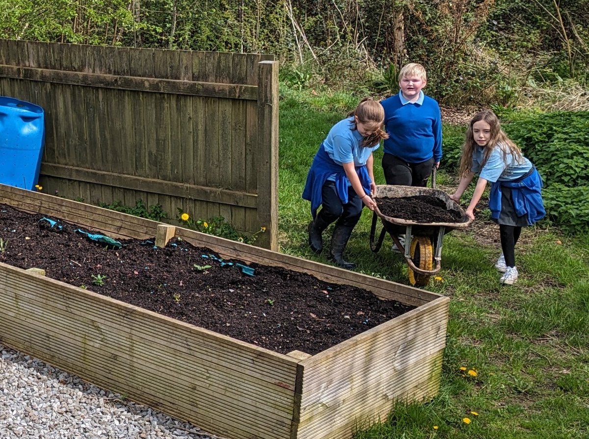 SwissValleyCP's tweet photo. Bl5/6 PP pupils #recycling cardboard and soil from disused planters to use in our garden #composters #ailgylchu #SVCPGardenAllotment #SVCPOutdoors https://t.co/oSript6MEs