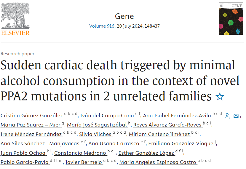 CardioHGUGM's tweet image. ¿Habías [oido] hablar de una enfermedad por mutaciones en #PAP2?

Pues es una #EnfermedadRara que puede producir #MuerteSubita con la ingesta de pequeñas cantidades de alcohol 🍷🍺🥃🍸

Os lo explicamos en el siguiente 🧵