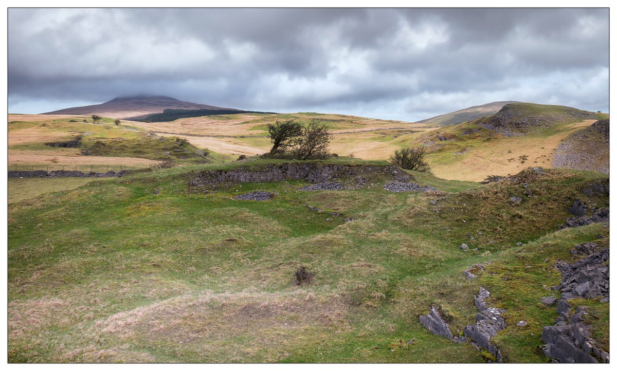 Yesterday took a wander around an area I call limestone country, the upper Nedd Valley. Whilst my mate went off to photograph 'that tree' I spent time wandering the old quarry areas. It was a lovely couple of hours but very windy.