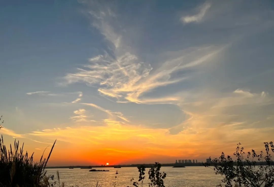 _Nature_View's tweet photo. Wonderful Evening #NaturePhotography #Israel #Iran https://t.co/9zPmkA446A