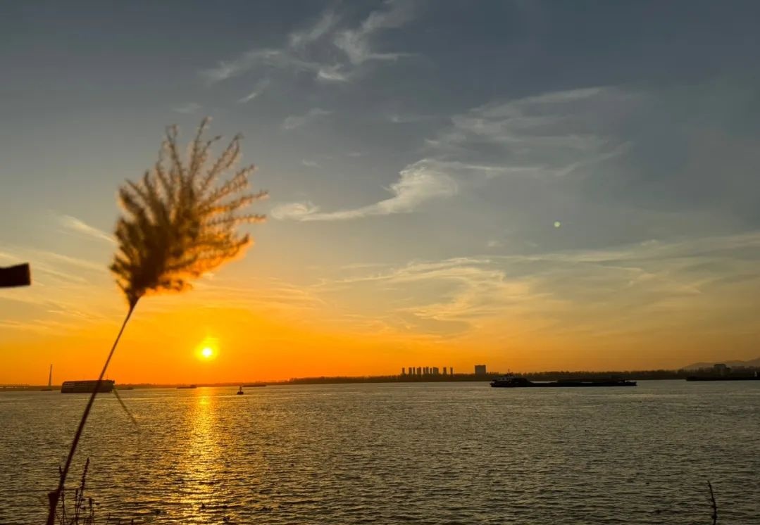 _Nature_View's tweet photo. Wonderful Evening #NaturePhotography #Israel #Iran https://t.co/9zPmkA446A