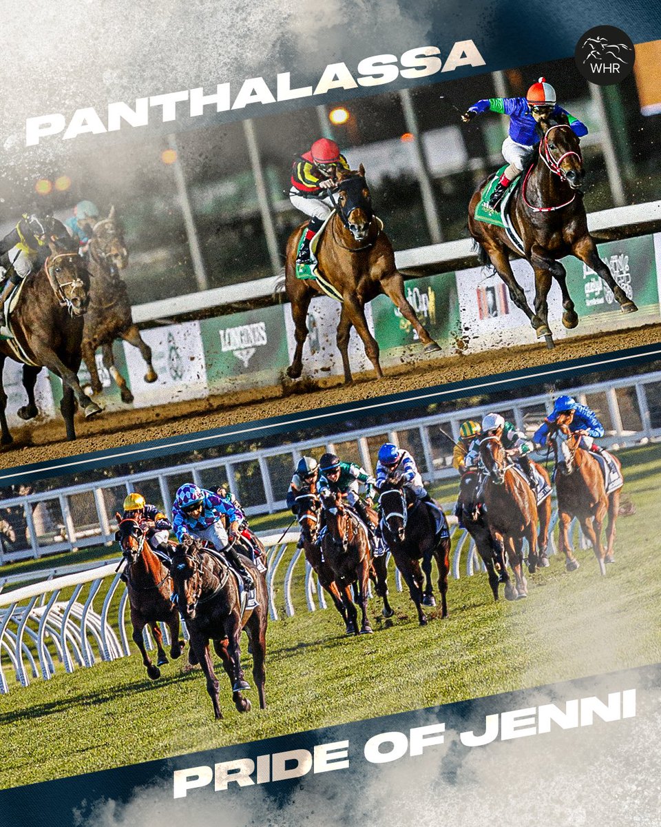 Who wants to see a PANTHALASSA x PRIDE OF JENNI foal one day? 🔥

That would be one fast, tough foal...

#パンサラッサ | #プライドオブジェニー | #競馬