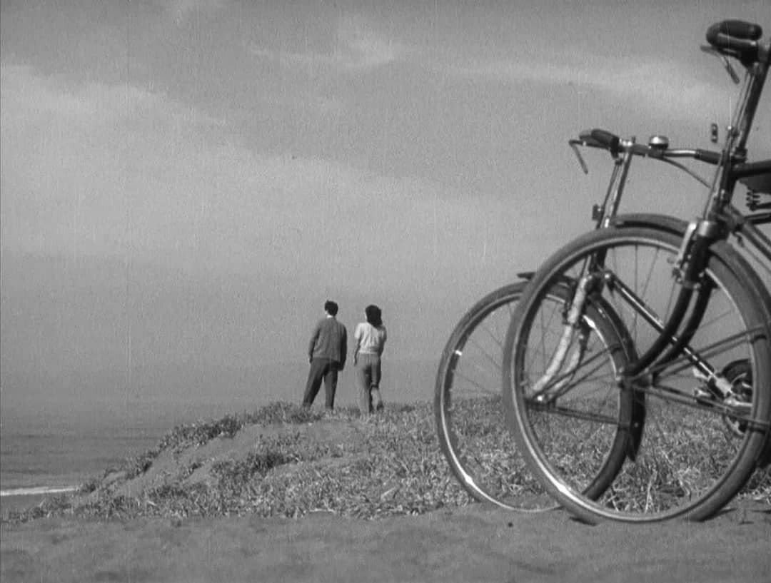 Buenos días, cineasiáticos. Nos levantamos con un maravilloso día de primavera, ideal para rendir homenaje a Yasujiro Ozu viendo 'Primavera tardía'. Wenders homenajeó varias de las secuencias de la obra del director japonés en 'Perfect Days'.