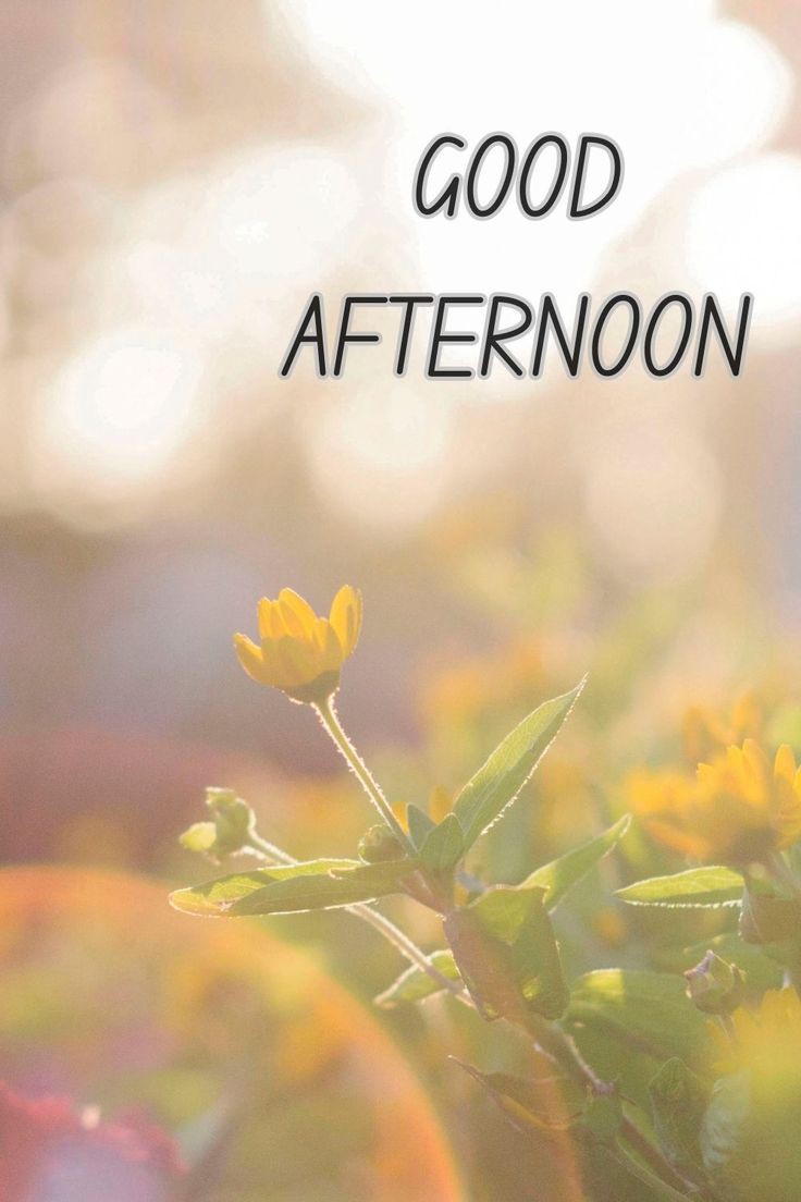 Assalam u alikum
Good afternoon