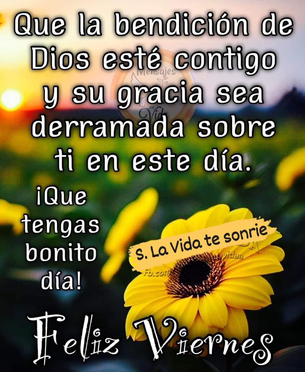 💦🦋✨🦋💦 Para Ti Y para todo@s vosotro@s Fin de Semana estupendo Para recordaros que me 🌹 Acuerdo Mucho de todo@s Con Abrazos y 🫂 Bendiciones🙏 @Zanza79258876 @AgustnArcos @AlysonBilello @DerekPa30582481 @szentandrassym @polaleks @fredi999 @elen_castilhos @LOVEKISSNOW009