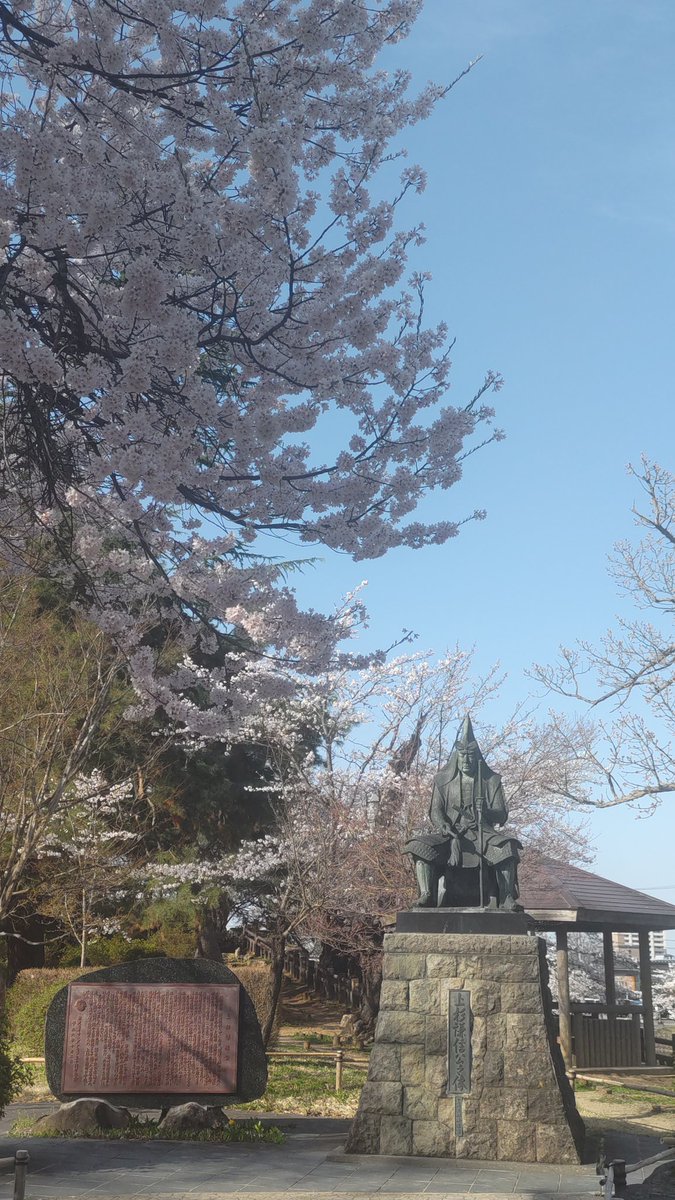 この暖かさで上杉神社周辺の桜は一気に満開状態に〜🌸🙌🌸
明日14日㈰は絶好のお花見日和になりそうです😊🎶