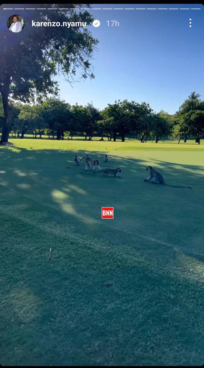 johnboscobrian's tweet image. New love golfing and using tax well.