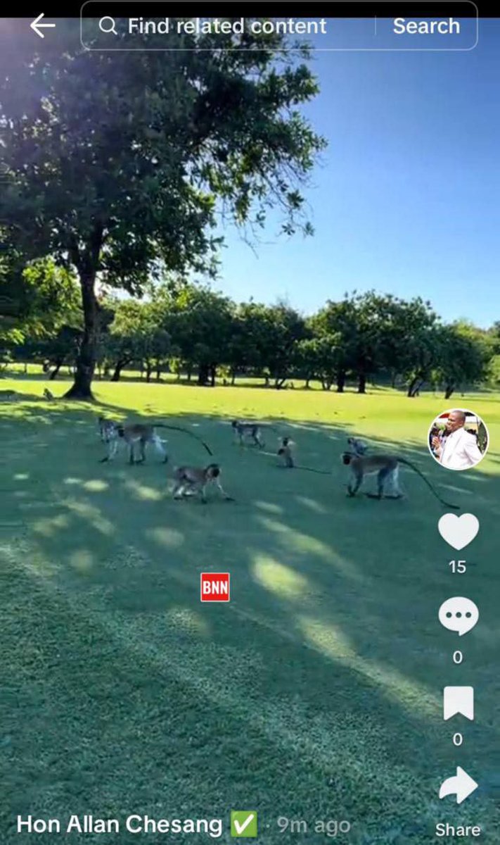 johnboscobrian's tweet image. New love golfing and using tax well.